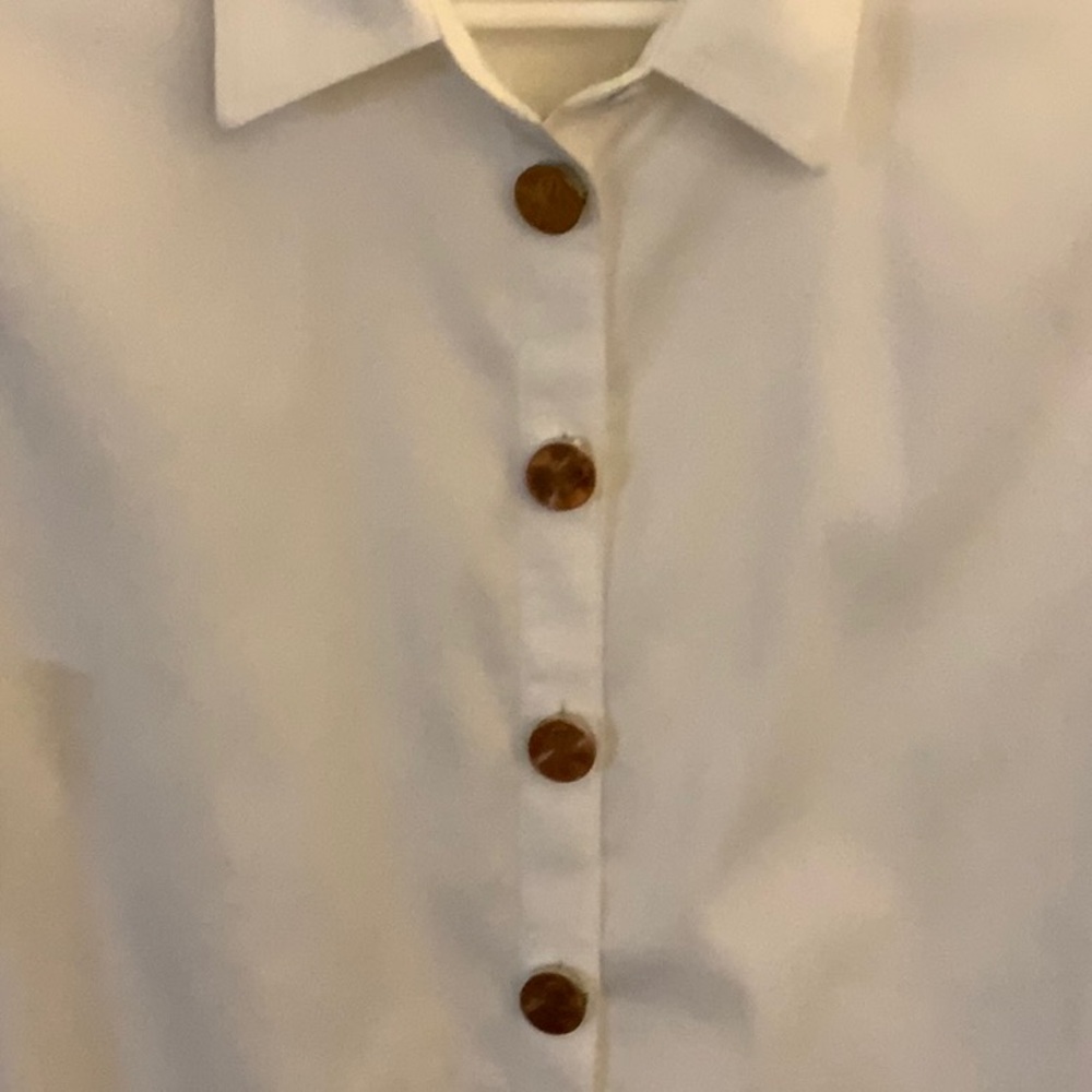 Pennies Button clip covers! Upgrade your blouse$ - Picture 3 of 3